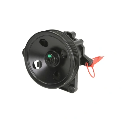 Afbeelding van Lauber Servopomp 55.2405