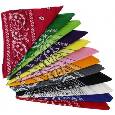 Afbeelding van Zac&#039;s Alter Ego Bandana Paisley pack Mondkapje Multicolours