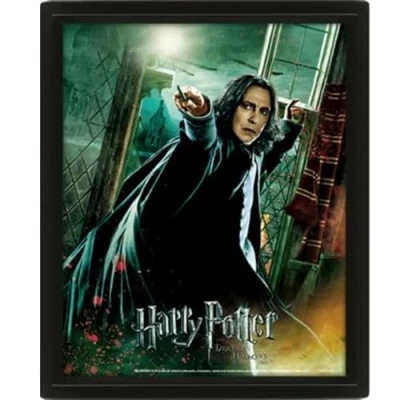 Afbeelding van Harry Potter Deathly Hallows Snape Framed 3D Poster 23x28cm