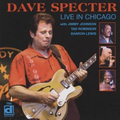 Afbeelding van Dave Specter Live In Chicago (CD)