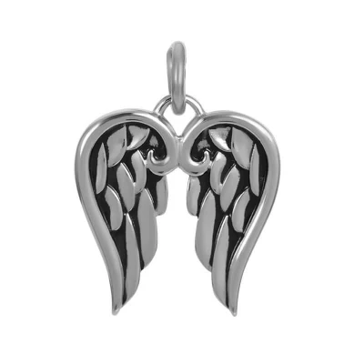 Afbeelding van Pendant Wings iXXXi Ketting C43027 01 Silver