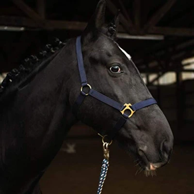 Afbeelding van Halster voor paard warmbloed, volbloed, koudbloed, stalhouder, wilgenhouder, 2 voudig verstelbaar aan kinriem en nekstuk, veilig scheurvast (donkerblauw, volbloed (cob))