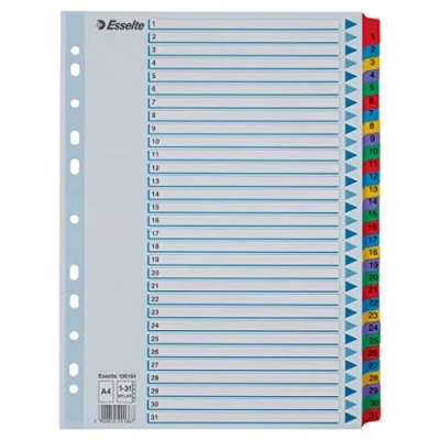 Afbeelding van Esselte 100164 A4 1 31 index, Heavy Duty Karton met Mylar Versterkte Tabs, Veelkleurig