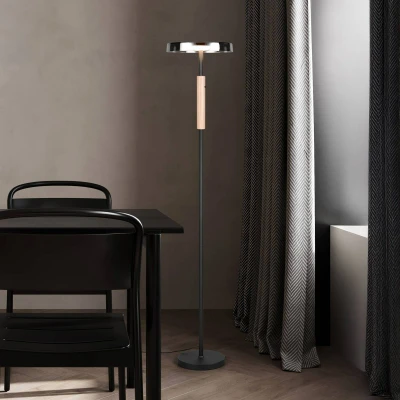 Afbeelding van Trio Led vloerlamp Celeste smoke glas 454910132