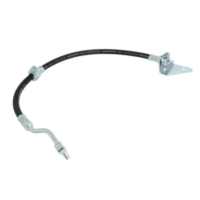 Afbeelding van Delphi Diesel Remslang LH7284
