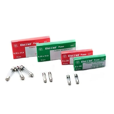 Afbeelding van zekering 2,5 A traag 5 x 20 mm 250 V TYPE 522 10 stuks fijne glaszekering G