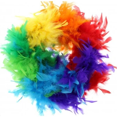 Afbeelding van Zac&#039;s Alter Ego Boa Rainbow Feather Multicolours