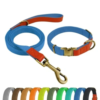 Afbeelding van Qianruida hondenhalsband en riem, set voor honden, halsband verstelbare kleine, middelgrote grote hemelsblauw, M