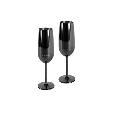 Afbeelding van ECHTWERK Sekt /champagneflutes (champagne, 2 delig, RVS)
