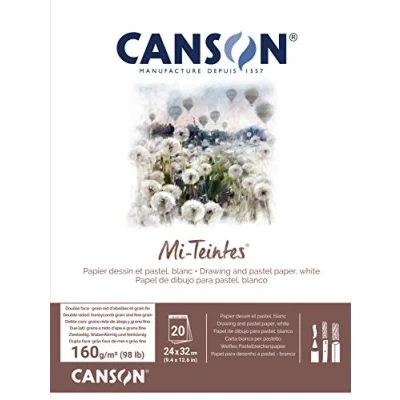 Afbeelding van Canson Mi Teintes, gekleurd tekenpapier, tijdig: honingraatstructuur en fijne korrel, 160 g/m², 98 lb, aan de korte zijde gelijmd blok, 24 x 32 cm, wit, 20 vellen C31027P001