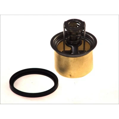 Afbeelding van Thermotec Thermostaat D2RV001TT