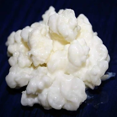 Afbeelding van KEFIRALIA® 40 g melkkefir paddenstoel/knollen + handleiding recepten hulp en advies in het Duits