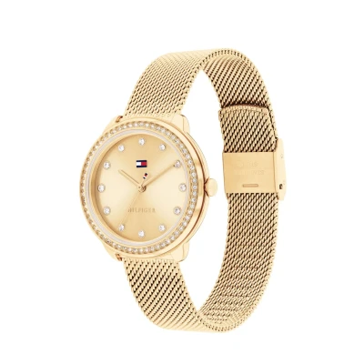 Afbeelding van Tommy Hilfiger Horloge, Dames, Maat: One Size, Gold