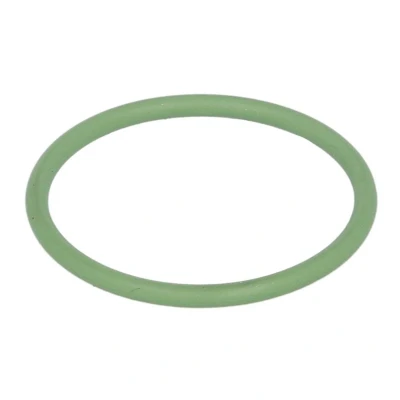 Afbeelding van O ring DT 1.24307