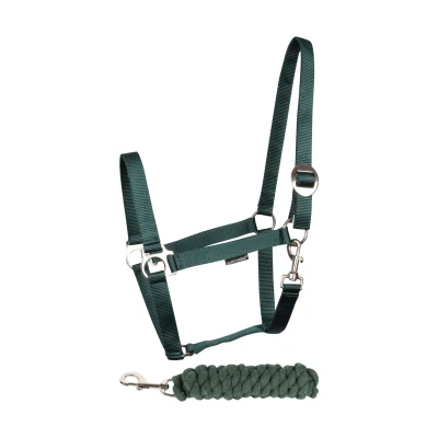 Afbeelding van Harry&#039;s Horse Halsterset Initial Cob Groen