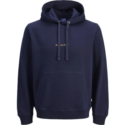 Afbeelding van JACK&amp;JONES JORNORREBRO EMB SWEAT HOOD PLS Heren Sweaters