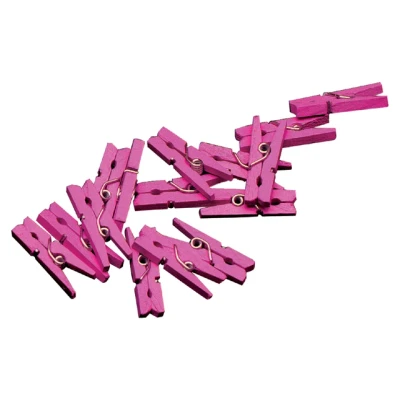 Afbeelding van Jep Party Roze 20 Stuks Mini Knijpers 420213