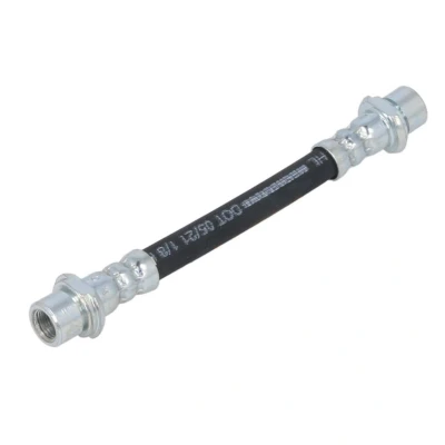 Afbeelding van Delphi Diesel Remslang LH6743