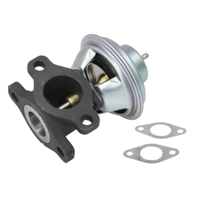 Afbeelding van Delphi Diesel EGR klep EG10623 12B1