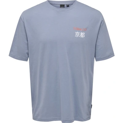 Afbeelding van ONLY&amp;SONS ONSKEANE RLX SS PRINT TEE NOOS Heren T shirts