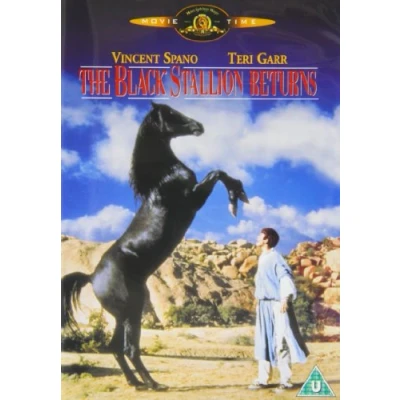 Afbeelding van Black Stallion Returns