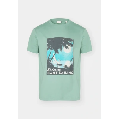 Afbeelding van GANT Placed Graphic Tshirt print, Heren, Maat: XXL, Kalamata green