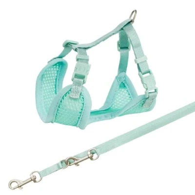 Afbeelding van Trixie Junior Puppytuig Soft Met Riem Mintgroen 26 34X1 CM / 2 MTR