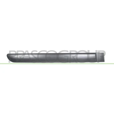 Afbeelding van Sier / beschermingspaneel, deur PRASCO CI3221451