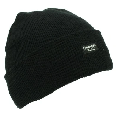 Afbeelding van Heren Thinsulate thermische winterhoed, Zwart, One size