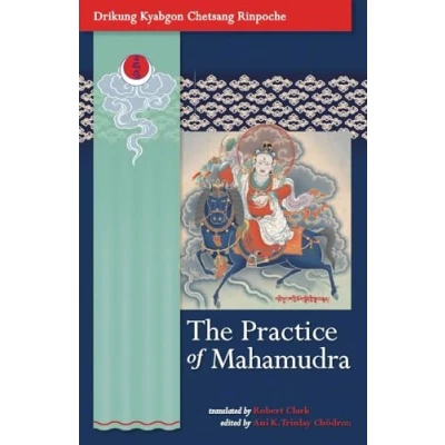 Afbeelding van the Practice of Mahamudra: Teachings His Holiness, Drikung Kyabgon, Chetsang Rinpoche