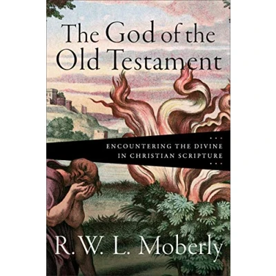 Afbeelding van the God of Old Testament Encountering Divine in Christian Scripture