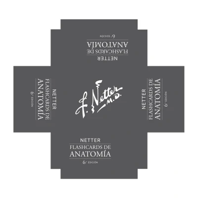 Afbeelding van Netter. Flashcards de anatomía