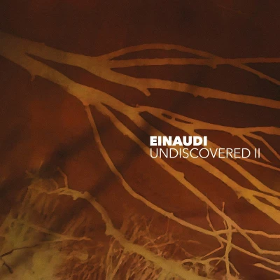 Afbeelding van Ludovico Einaudi Undiscovered Vol. 2 (2 LPs)