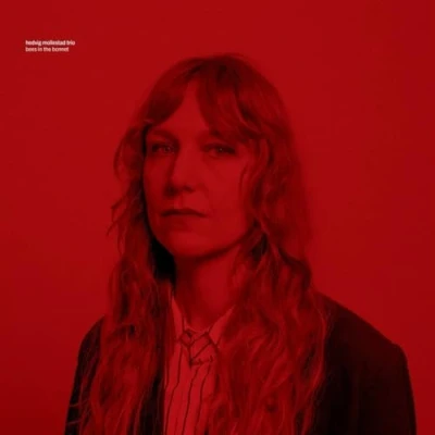 Afbeelding van Hedvig Mollestad Bees In The Bonnet (LP)