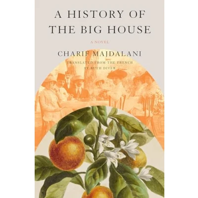 Afbeelding van A History of the Big House: Novel