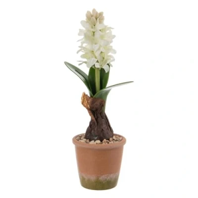 Afbeelding van Decoratieve plant Polyester Polyethyleen Ijzer Melamine 9,5 x 29 cm