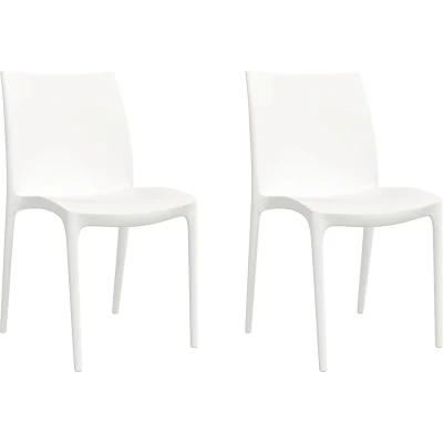 Afbeelding van Tuinstoelen 2 st 50x46x80 cm polypropeen wit