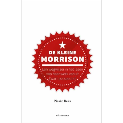 Afbeelding van De kleine Morrison