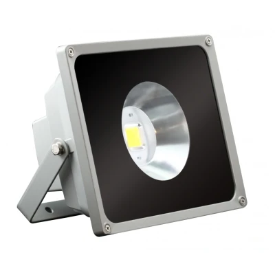 Afbeelding van 20W LED 12 Volt Schijnwerper Beam RGB outdoor IR remote dimbaar