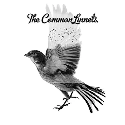 Afbeelding van The Common Linnets (CD)