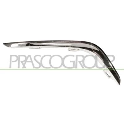 Afbeelding van Sier / beschermingspaneel, bumper PRASCO PG2042141