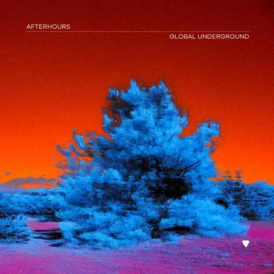Afbeelding van Global Underground: Afterhours 9