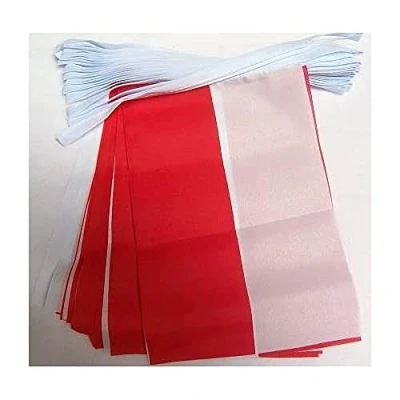 Afbeelding van Polen 4 meter BUNTING Vlag 20 vlaggen 6&#039;&#039; x 4&#039;&#039; Poolse STRING 10 15 cm AZ FLAG