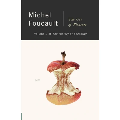 Afbeelding van Use of Pleasure (History Sexuality 2): Michel Foucault: 02
