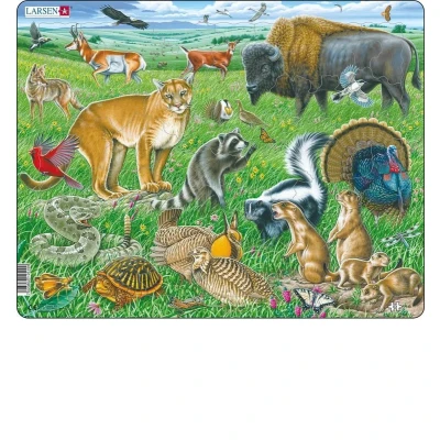 Afbeelding van Larsen Legpuzzel Maxi Amerikaanse Prairie Junior 53 Stukjes
