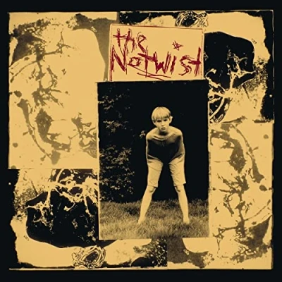 Afbeelding van Notwist (LP)