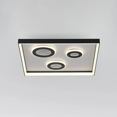 Afbeelding van Paul Neuhaus Vierkante plafondlamp Dune zwart 6856 18