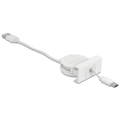 Afbeelding van Delock Easy 45 Module USB 2.0 Uitrolbare kabel Type A naar Typ