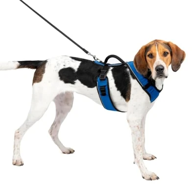 Afbeelding van PetSafe EasySport harnas, wandeltuig voor honden, verstelbaar, gewatteerd, grootblauw