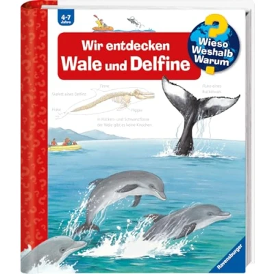 Afbeelding van Wieso? Weshalb? Warum?, Band 41: Wir entdecken Wale und Delfine